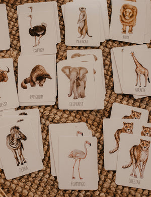 Snap & Go Fish - Africa