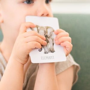 Snap & Go Fish - Animals