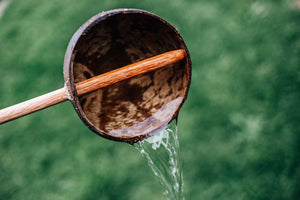 Coconut Water Scoop - Large