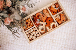 Montessori Sorting Trays - Set of 3