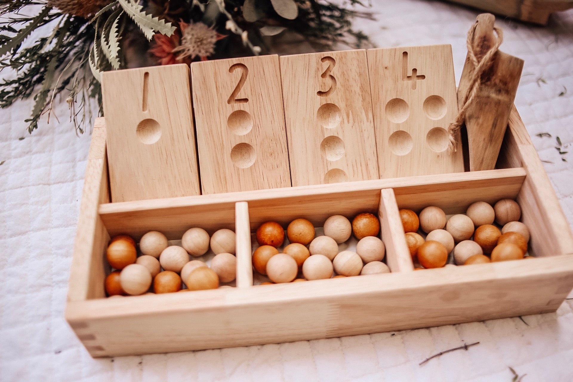 Montessori Sorting Trays - Set of 3